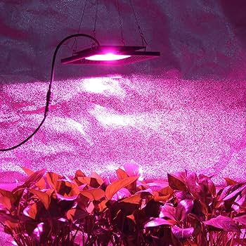 Amazon.com: Waterproof 100W LED Grow Light Full Spectrum